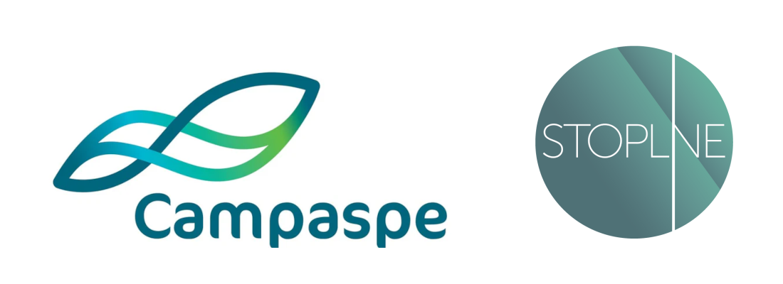 Campaspe Shire Council Online Reporting